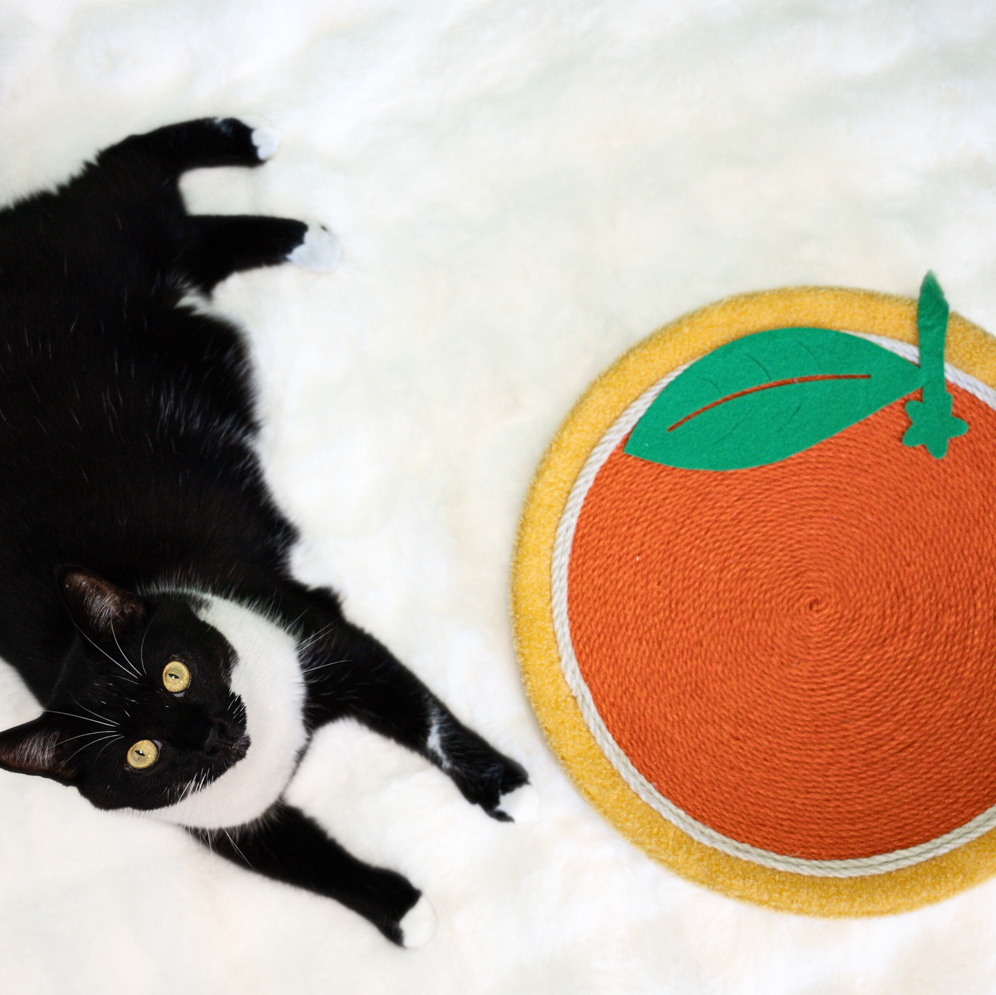 Fruit Scratching Boards