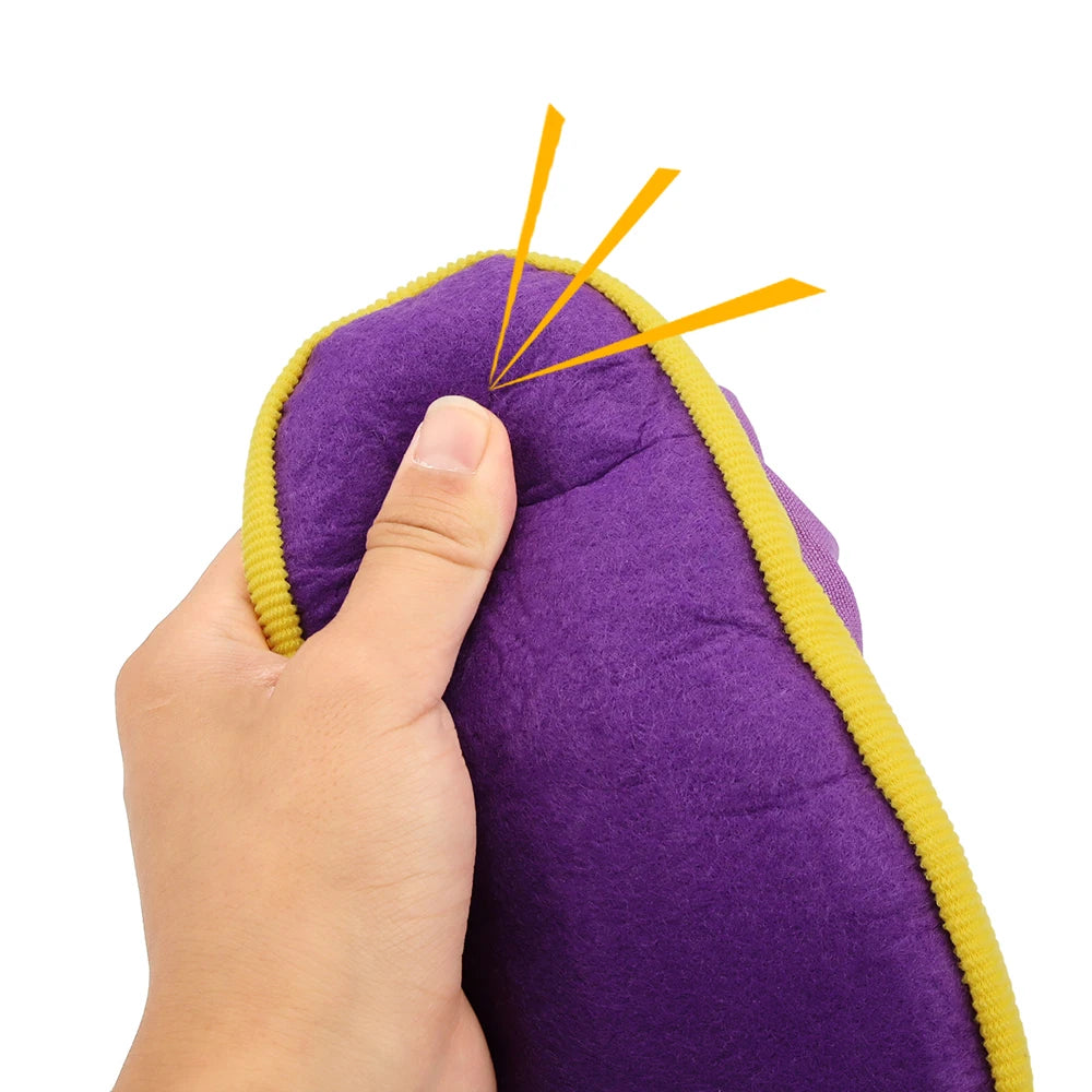 Chew & Play Bite-Resistant Shoe Toy