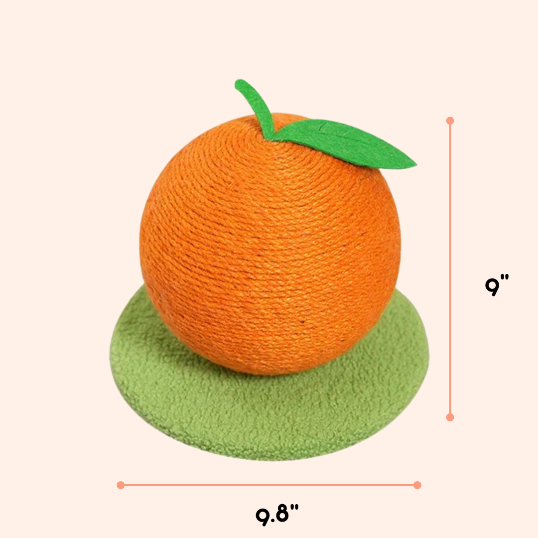 Fruit Ball Cat Scratcher