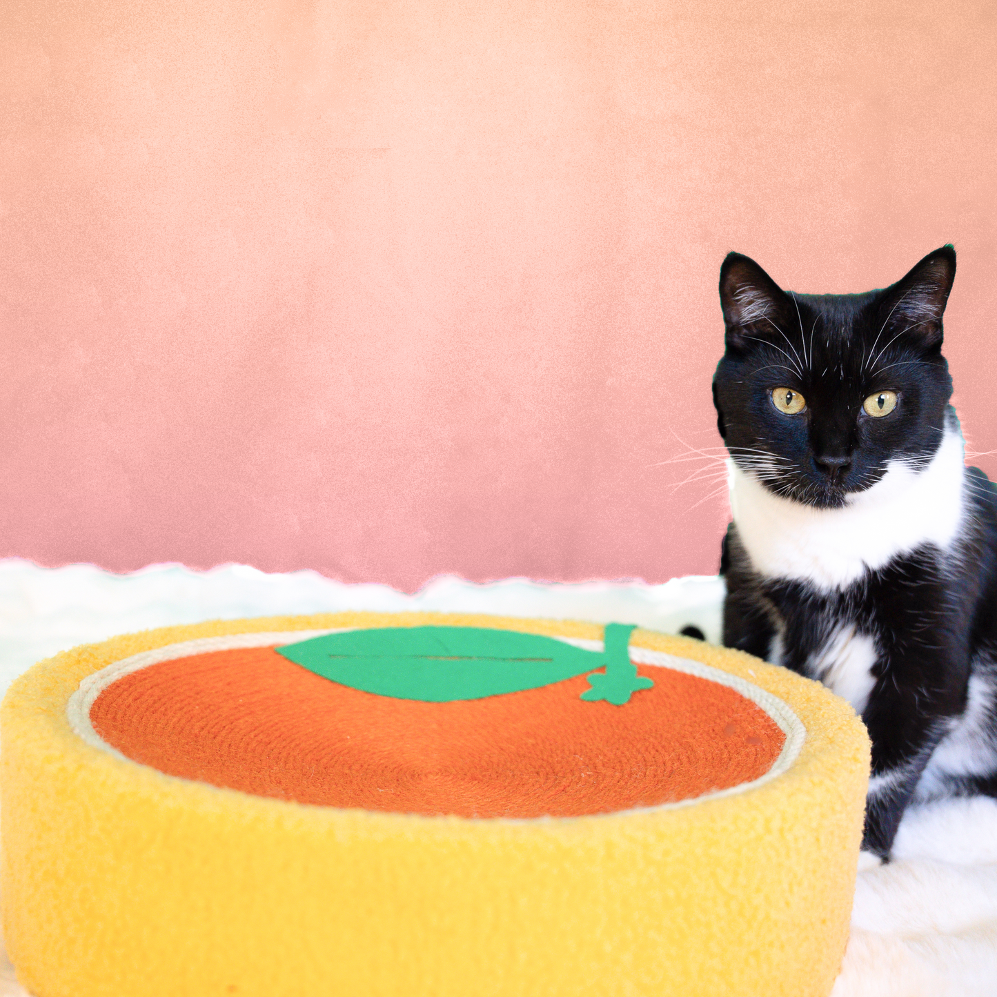 Fruit Scratching Boards