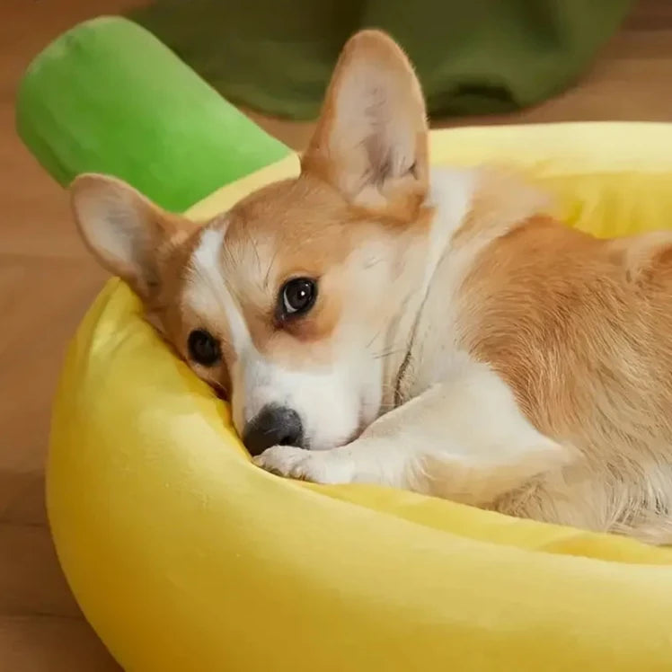 Banana Dog Bed