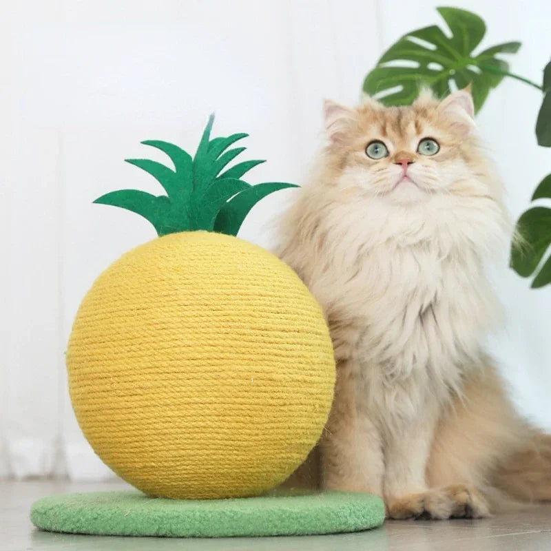 Fruit Ball Cat Scratcher