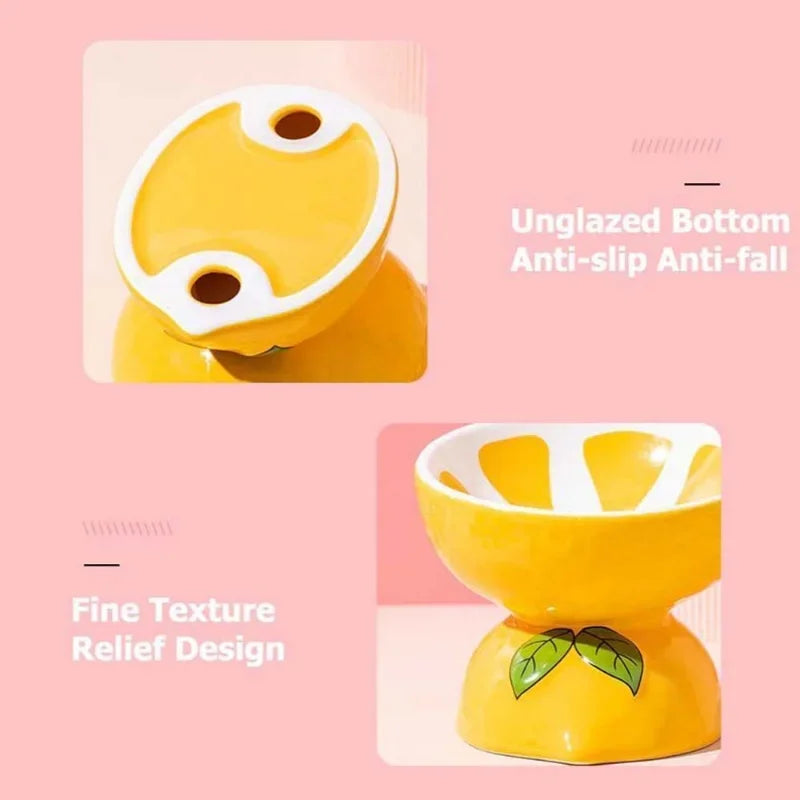 Fruit Ceramic Cat Bowls
