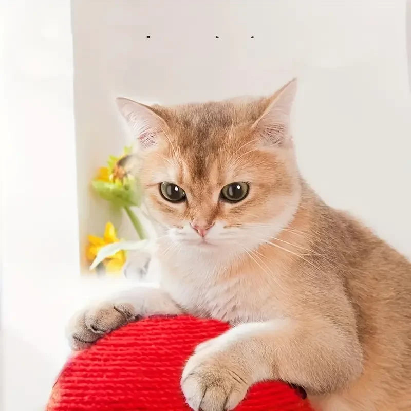 Mushroom Cat Scratcher