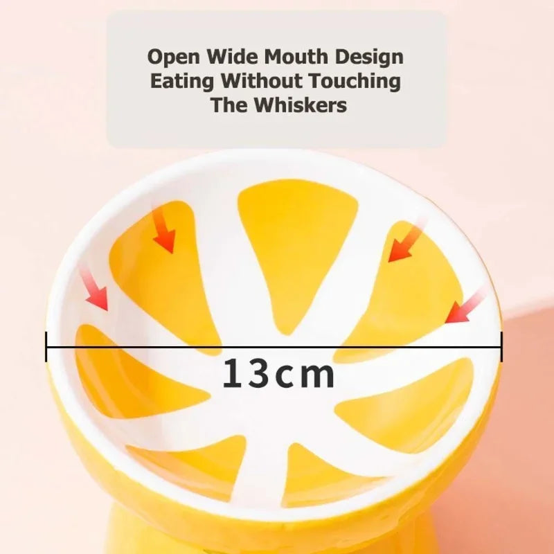 Fruit Ceramic Cat Bowls