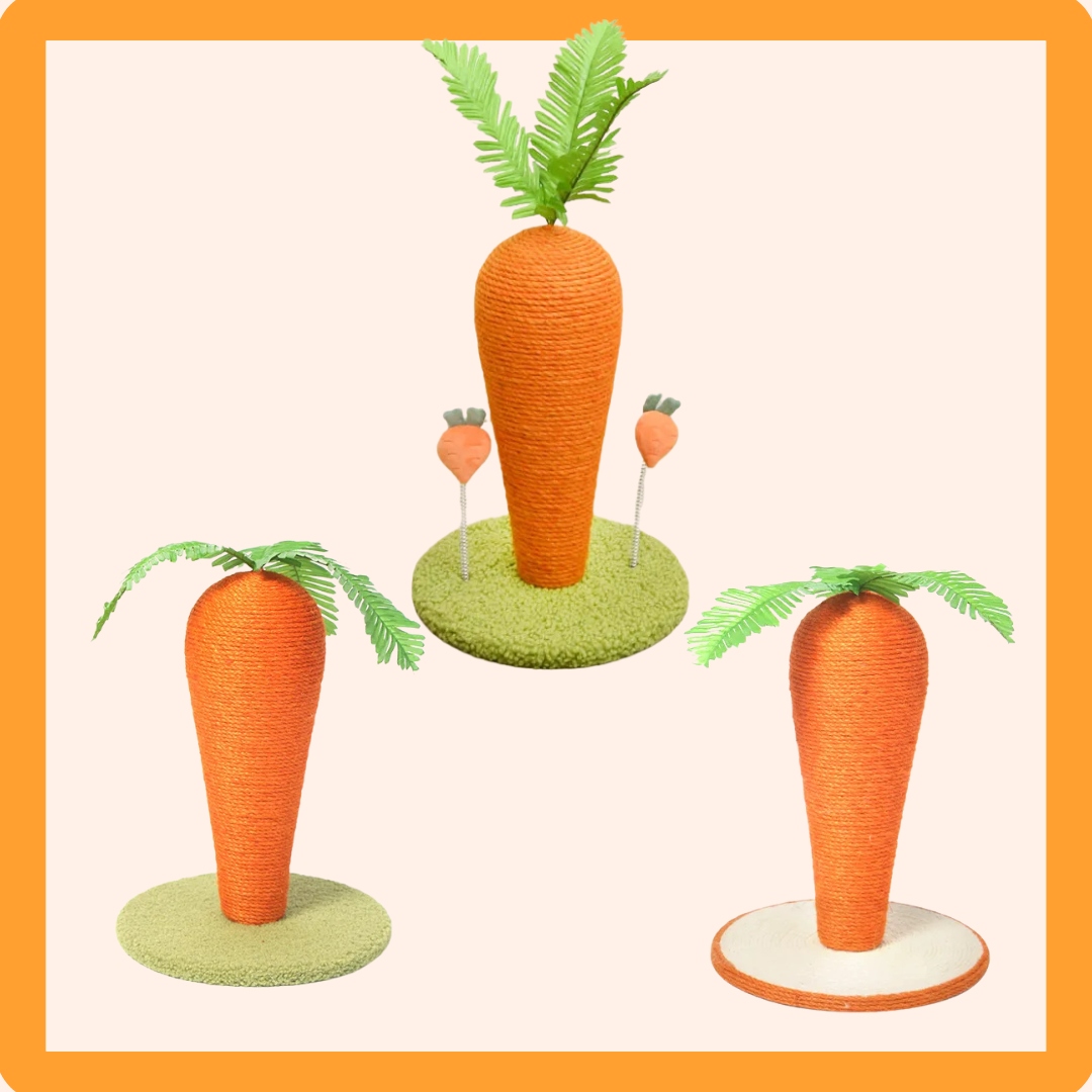 Carrot Scratching Post
