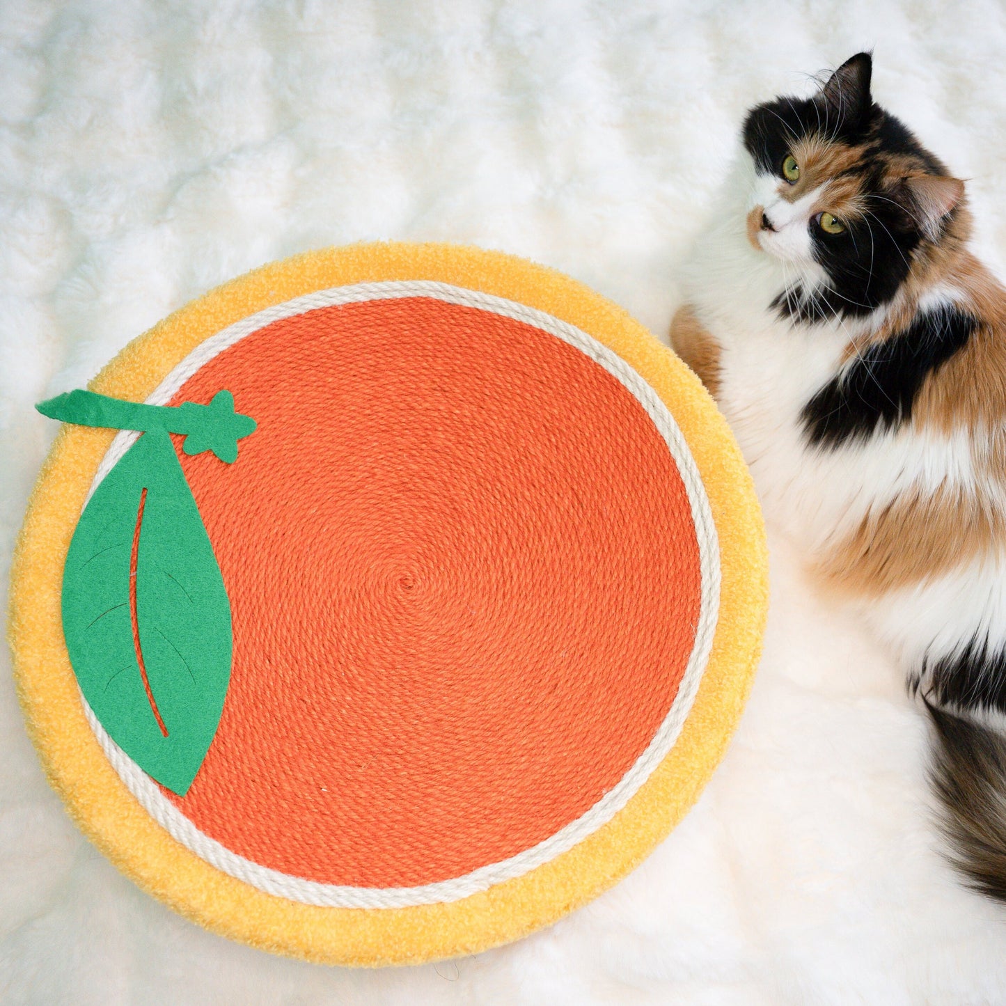 Fruit Scratching Boards