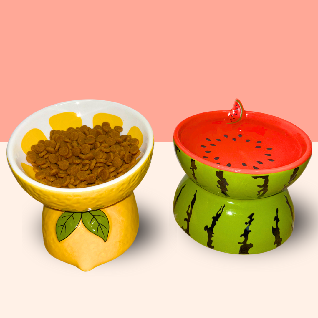 Fruit Ceramic Cat Bowls