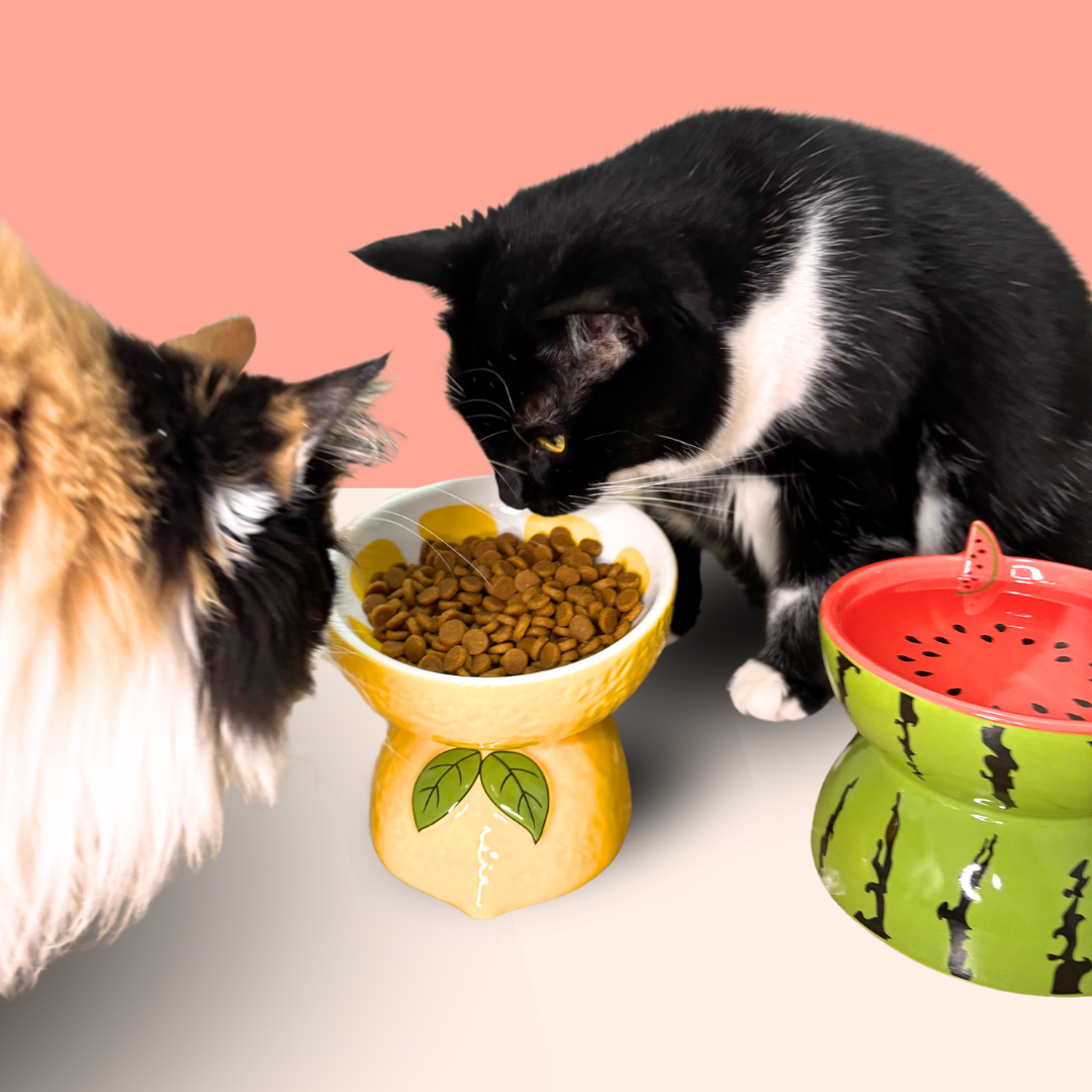 Fruit Ceramic Cat Bowls