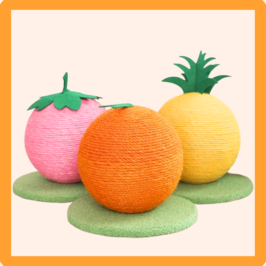 Fruit Ball Cat Scratcher