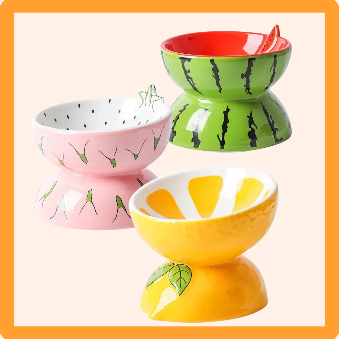 Fruit Ceramic Cat Bowls
