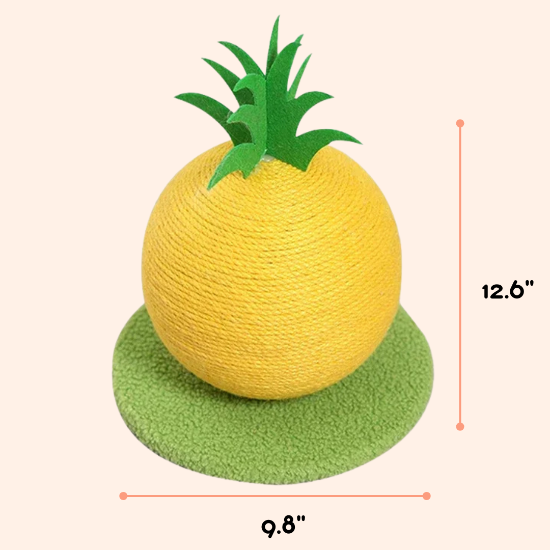 Fruit Ball Cat Scratcher