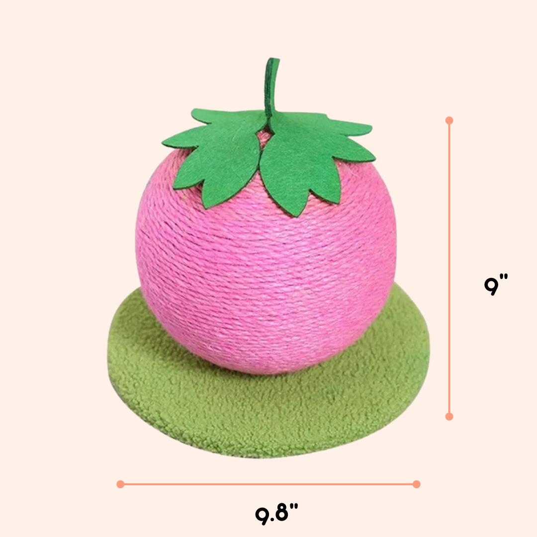 Fruit Ball Cat Scratcher