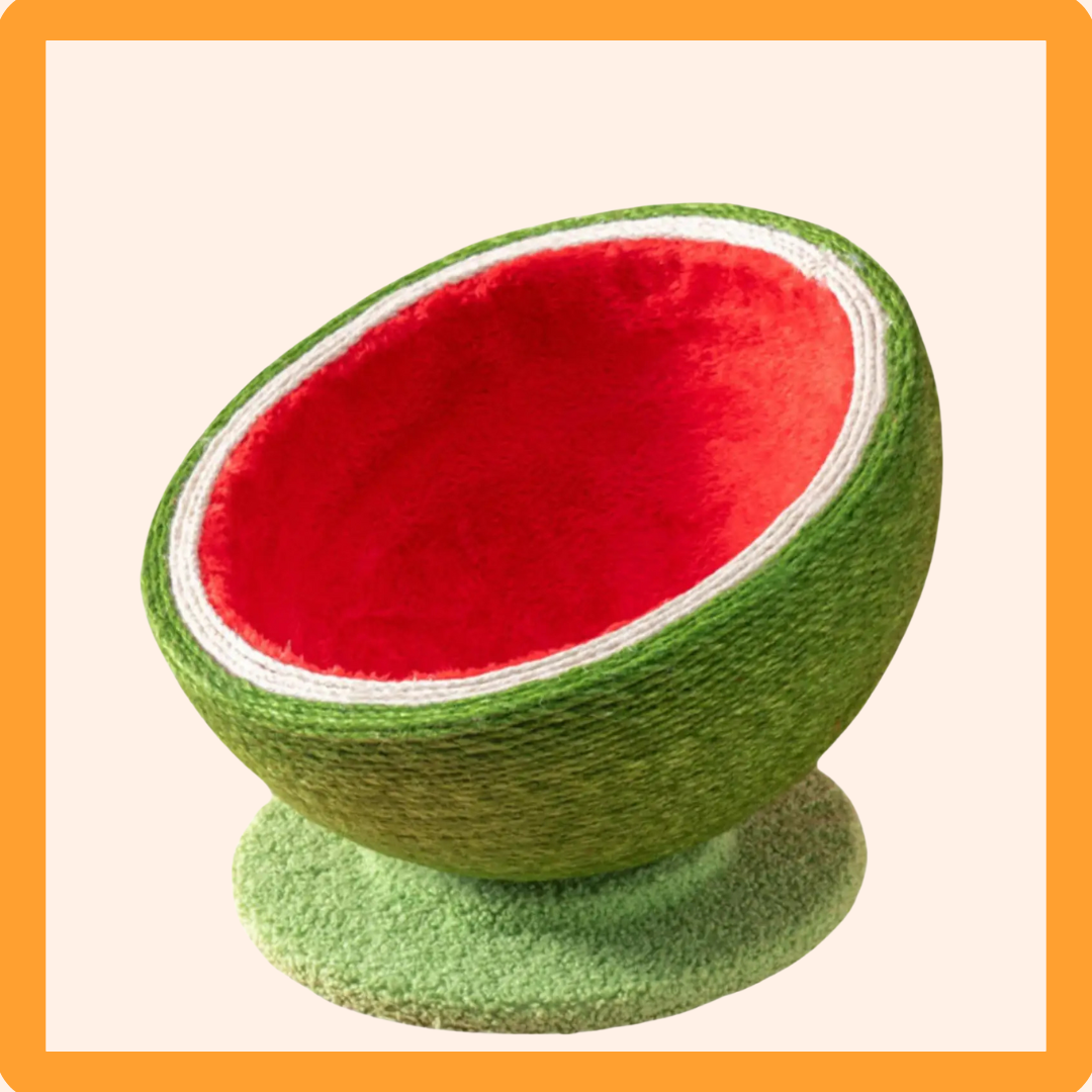 Watermelon Cat Scratcher Bowl