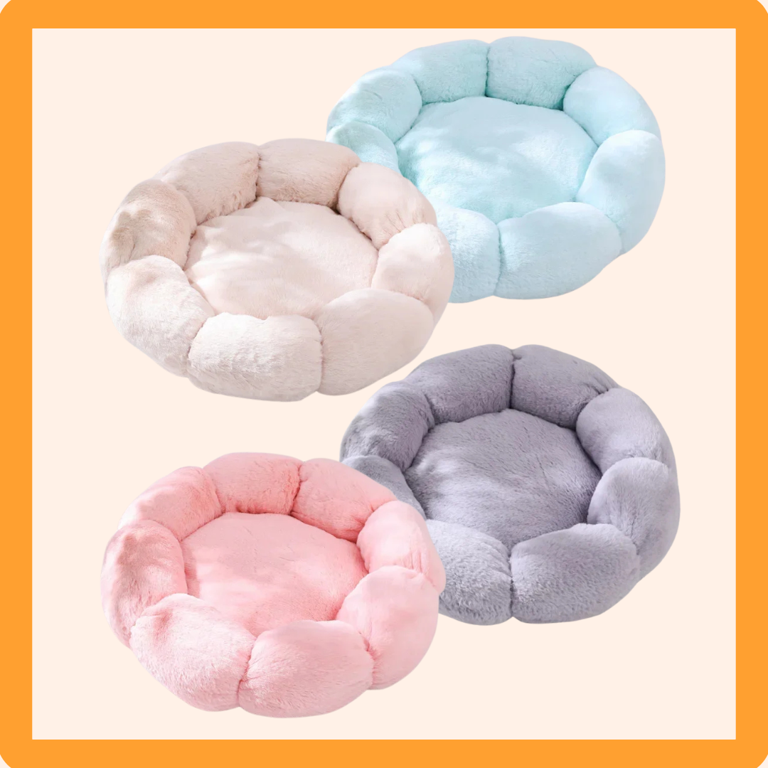 🌸 Flower-Shaped Fuzzy Dog Bed