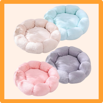 🌸 Flower-Shaped Fuzzy Dog Bed