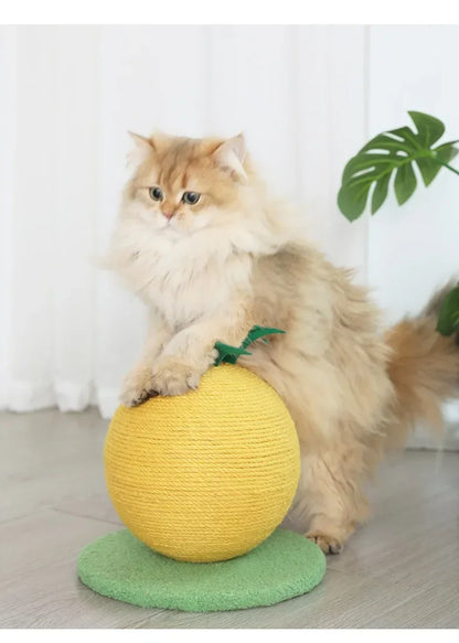 Fruit Ball Cat Scratcher