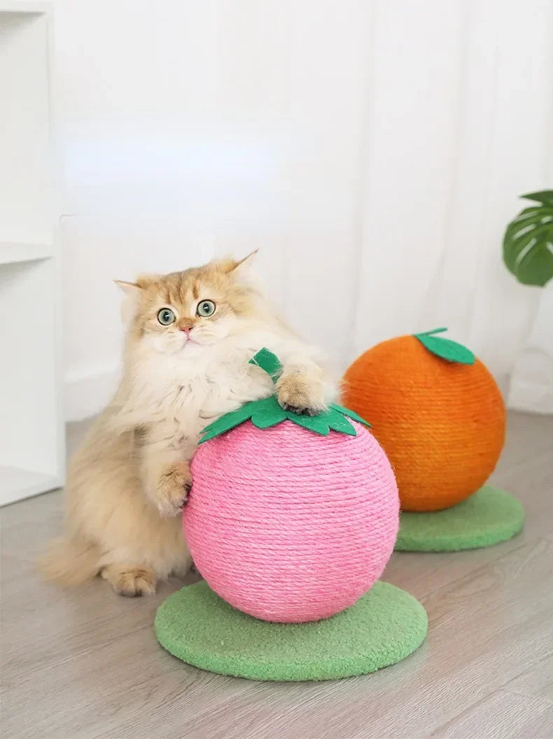 Fruit Ball Cat Scratcher
