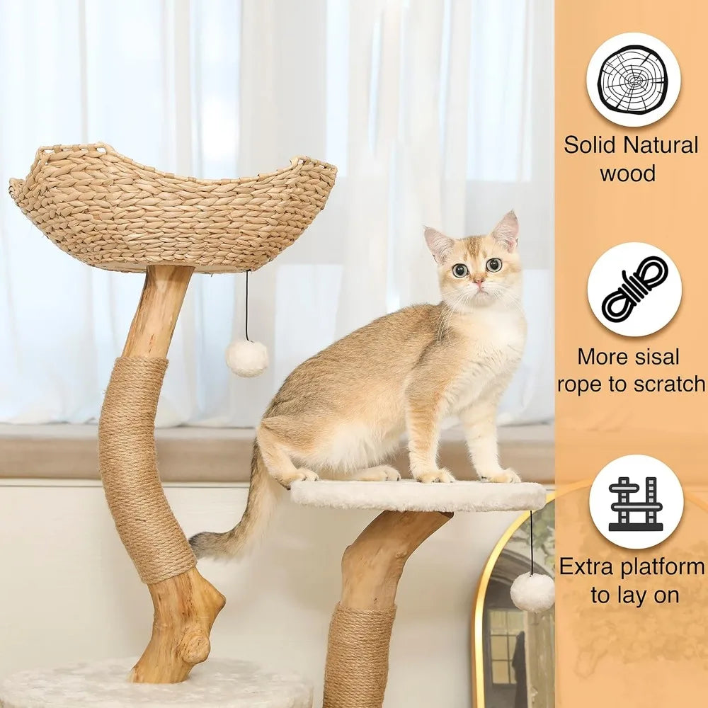 🌳Modern Cat Tree