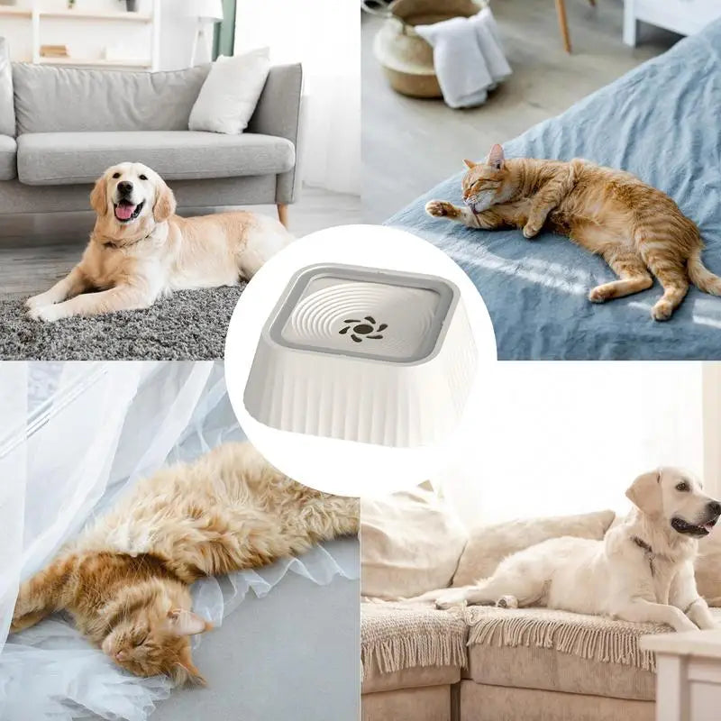 Slow Drinking Dog Water Bowl