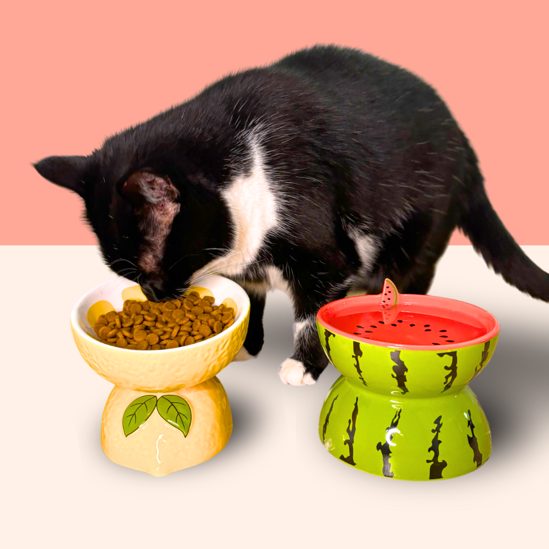 Cat Bowl Ceramic Protects Cervical Neck Drinks Water Eats Dog Snacks Skew Mouth High Foot Grain Bowl Fruit Bowl Pet Supplies