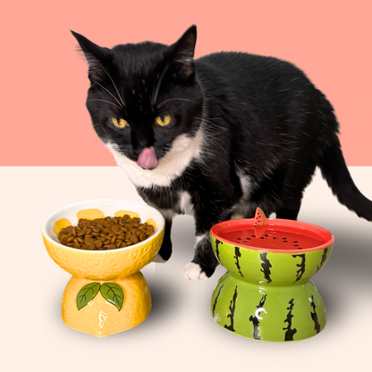 Cat Bowl Ceramic Protects Cervical Neck Drinks Water Eats Dog Snacks Skew Mouth High Foot Grain Bowl Fruit Bowl Pet Supplies