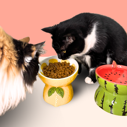 Cat Bowl Ceramic Protects Cervical Neck Drinks Water Eats Dog Snacks Skew Mouth High Foot Grain Bowl Fruit Bowl Pet Supplies